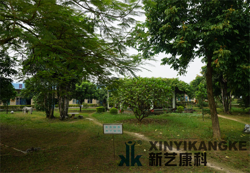 廠容廠貌