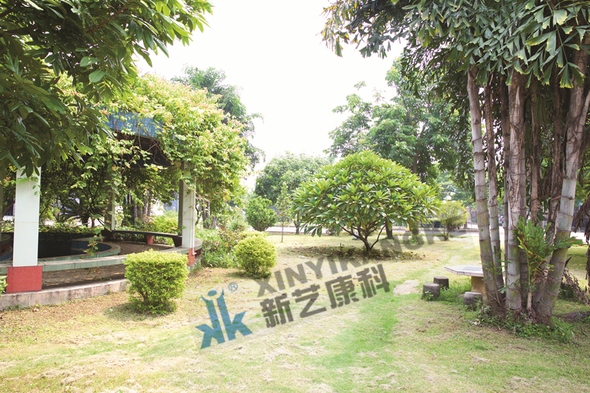 公司一角